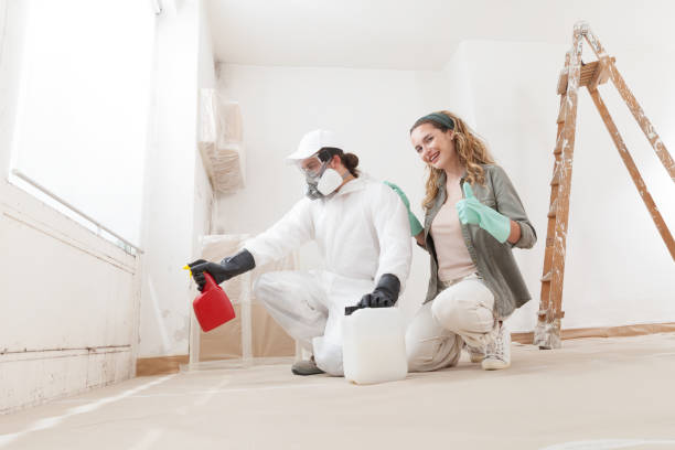 Trusted Springfield, KY Mold Removal Experts