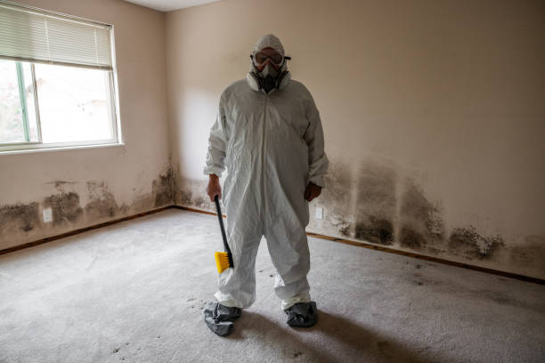 Asbestos and Lead Testing During Mold Inspection in Springfield, KY